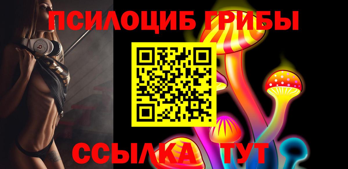 Будённовск  Галлюциногенные грибы Magic Shrooms  Вход с VPN 