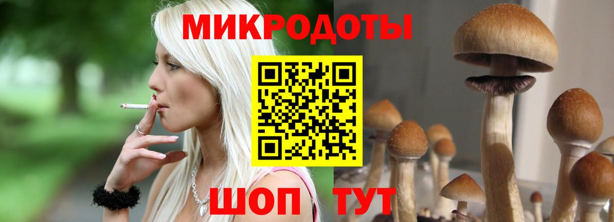 Галлюциногенные грибы прущие грибы Будённовск